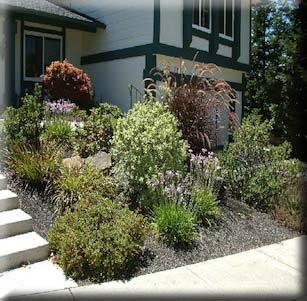 Small Space Front Yards